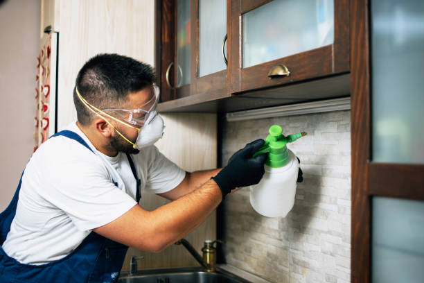 Reliable Elwood, IN Pest Control Solutions