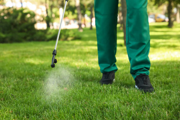Best Wasp Removal Services  in Elwood, IN