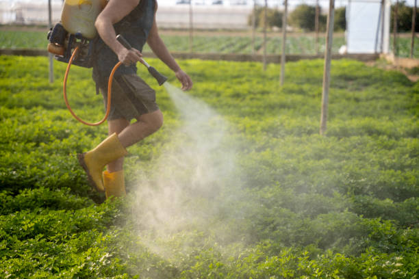 Best Pest Prevention Services  in Elwood, IN