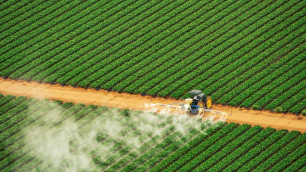 Best Pest Removal Services  in Elwood, IN