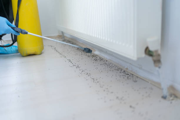 Best Cockroach Control Services  in Elwood, IN