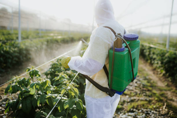 Best Ant Control Services  in Elwood, IN